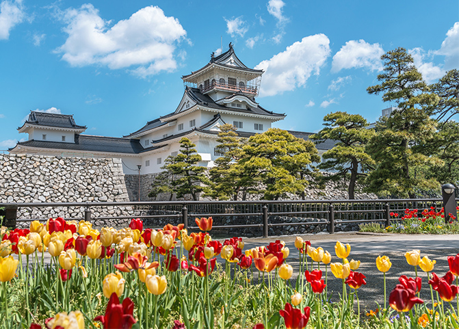 toyama