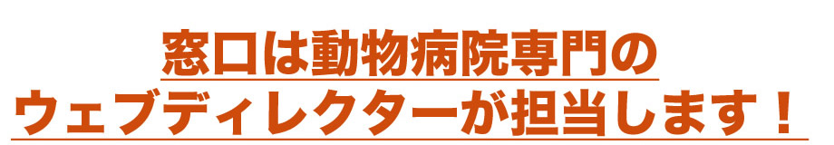 窓口は動物病院専門のウェブディレクターが担当します！