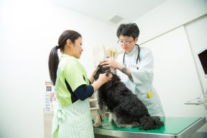 かやの森動物病院様gallery_06