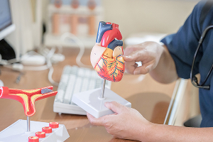 ふなこし内科・循環器内科様gallery_04